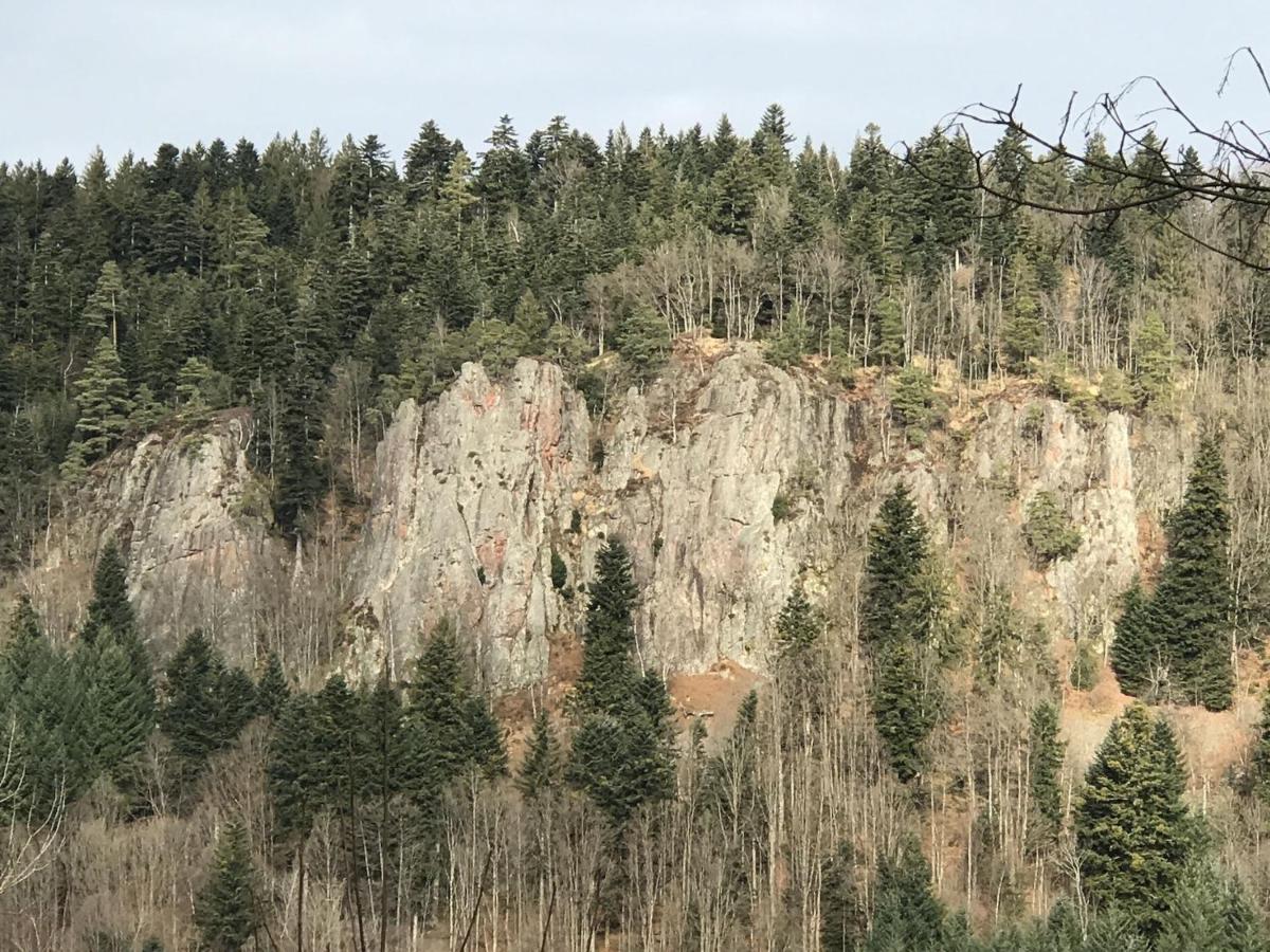 Ferienwohnungen Beilerstaedtle Oppenau Exterior foto